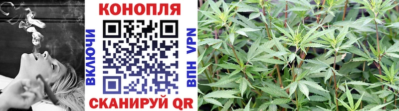 Наркошоп купить Кокаин  Псилоцибиновые грибы  Марихуана  Меф мяу мяу  APVP  Городец