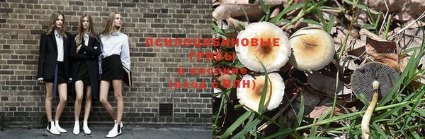 дурь Зеленокумск