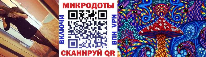 Купить где  Городец  Галлюциногенные грибы Cubensis 